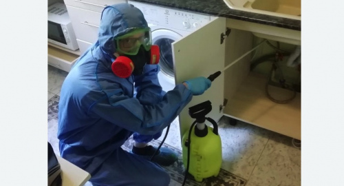 Уничтожение муравьев в квартире. Ипатово