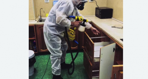 Уничтожение насекомых в квартире. Ипатово