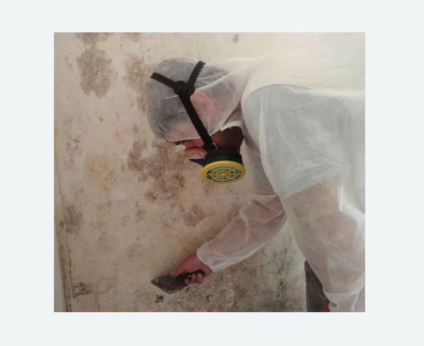 Обработка стен от плесени в Ипатово