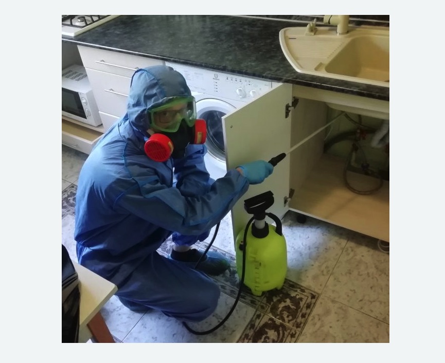 обработка от муравьев в квартире в Ипатово