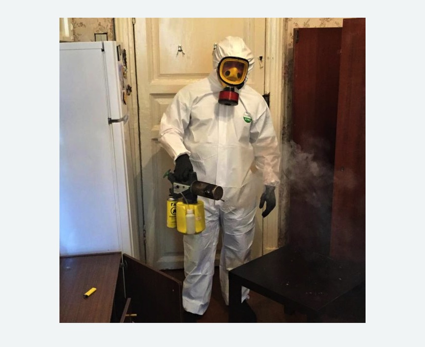 уничтожение муравьев в квартире в Ипатово